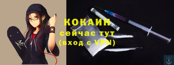 тгк Гусь-Хрустальный