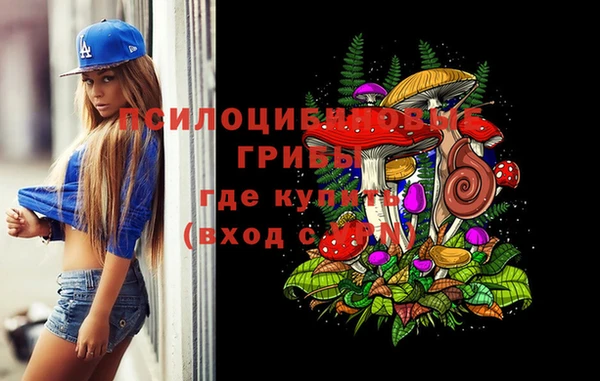 гашик Гусиноозёрск