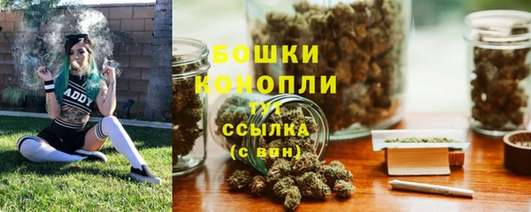 тгк Гусь-Хрустальный