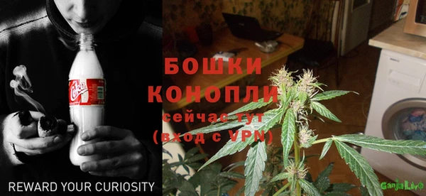 гашик Гусиноозёрск