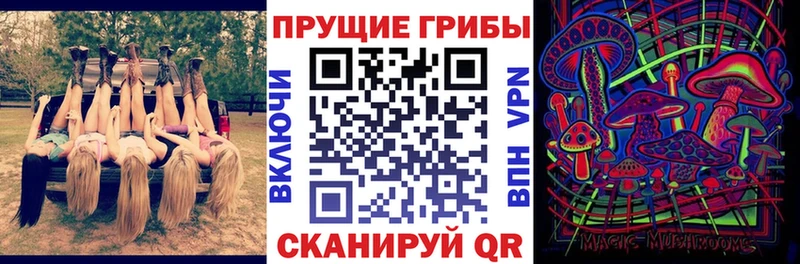 Купить где  Медногорск  Псилоцибиновые грибы мицелий 